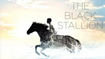 Задник до фильму"The Black Stallion" #1041154