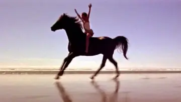 Задник до фильму"The Black Stallion" #1041155