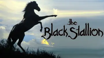 Задник до фильму"The Black Stallion" #1041156