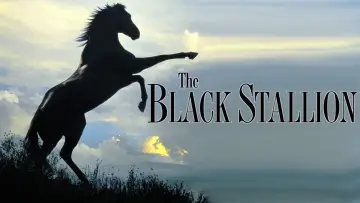 Задник до фильму"The Black Stallion" #1041157