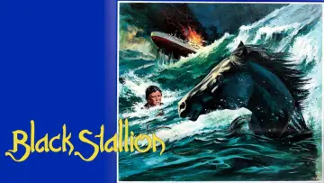 Задник до фильму"The Black Stallion" #1041160
