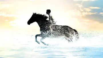 Задник до фильму"The Black Stallion" #1041161