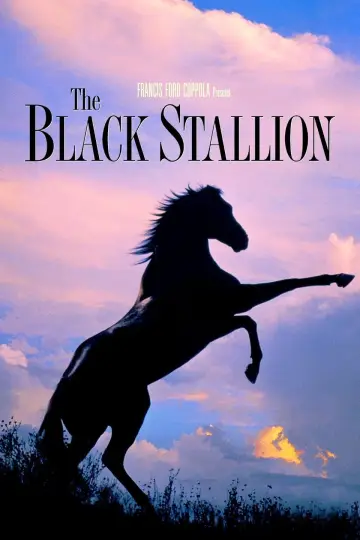 Постер до фильму"The Black Stallion" #1041167