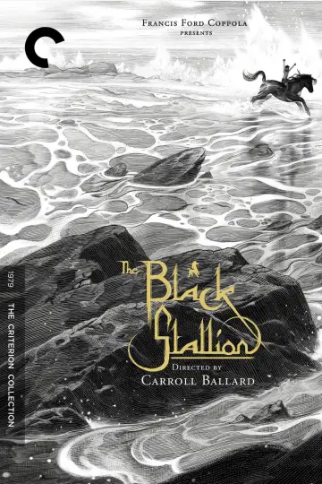 Постер до фильму"The Black Stallion" #1041169