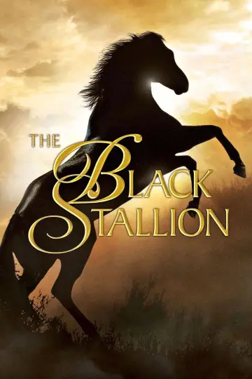 Постер до фильму"The Black Stallion" #1041171