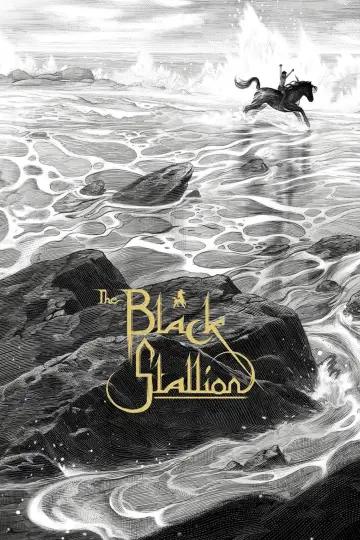 Постер до фильму"The Black Stallion" #1041172