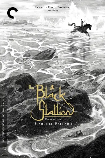 Постер до фильму"The Black Stallion" #1041173