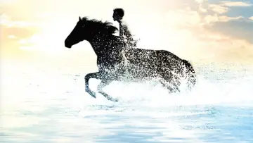 Задник до фильму"The Black Stallion" #402825