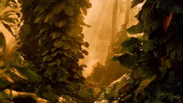 Задник до фильму"South Pacific" #419748