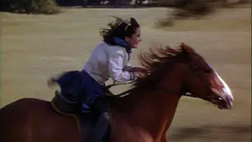 Задник до фильму"National Velvet" #1120140