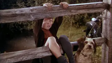 Задник до фильму"National Velvet" #1120141