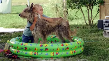 Задник до фильму"Because of Winn-Dixie" #1044338