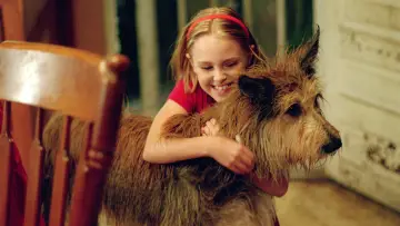 Задник до фильму"Because of Winn-Dixie" #1044339