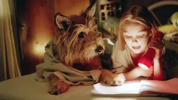 Задник до фильму"Because of Winn-Dixie" #1044340