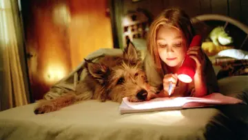 Задник до фильму"Because of Winn-Dixie" #405909