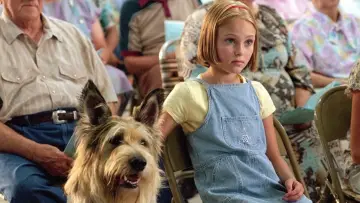 Задник до фильму"Because of Winn-Dixie" #405911