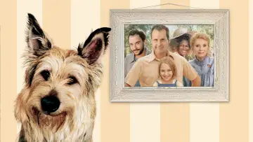 Задник до фильму"Because of Winn-Dixie" #405912