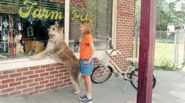 Задник до фильму"Because of Winn-Dixie" #467116