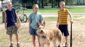 Задник до фильму"Because of Winn-Dixie" #467117