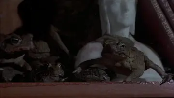 Задник до фильму"Frogs" #482866