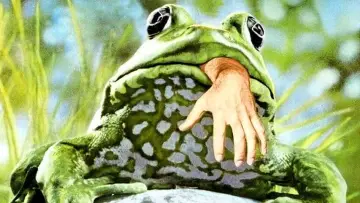 Задник до фильму"Frogs" #482867