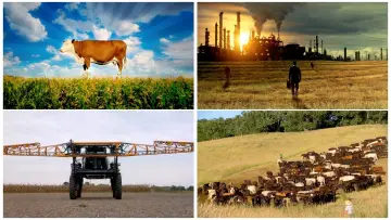 Задник до фильму"Food, Inc." #496023