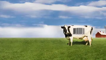 Задник до фильму"Food, Inc." #496024