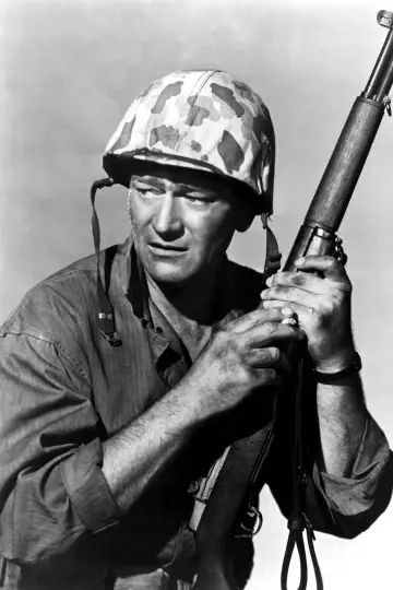 Постер до фильму"Sands of Iwo Jima" #428264