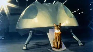 Задник до фильму"The Cat from Outer Space" #414617