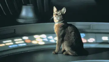 Задник до фильму"The Cat from Outer Space" #414620