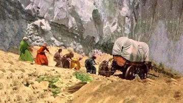 Задник до фильму"Westward the Women" #1064384