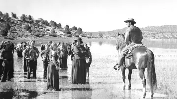 Задник до фильму"Westward the Women" #1064387