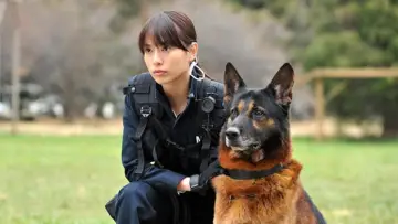 Задник до фільму "DOG×POLICE 純白の絆" #1903104