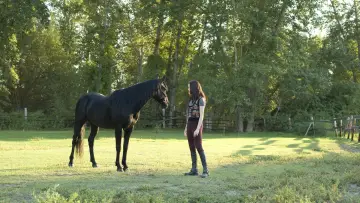 Задник до фильму"Flicka: Country Pride" #451865