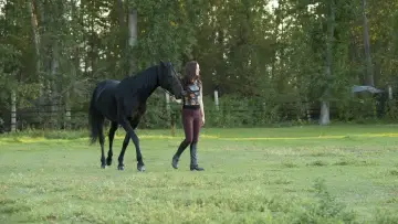 Задник до фильму"Flicka: Country Pride" #451867