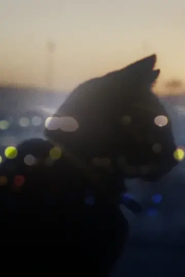 Постер до фильму"Somos animales" #1151073