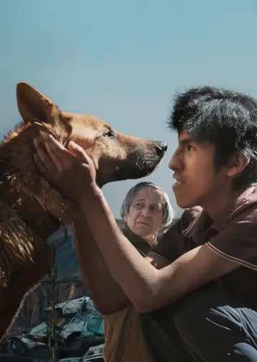 Постер до фильму"El Ladrón de Perros" #1118777