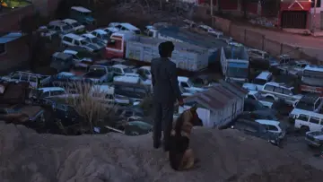Задник до фильму"El Ladrón de Perros" #484428