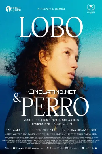 Постер до фильму"Lobo e Cão" #393525