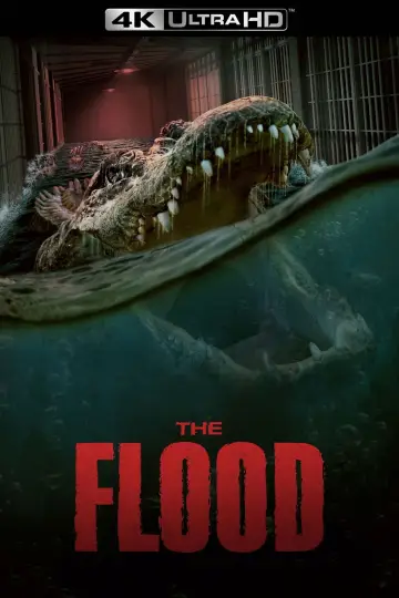 Постер до фильму"The Flood" #946368