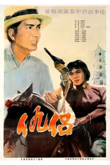 仇侣 постер