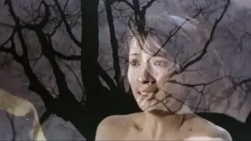 Задник до фільму "三人の女　夜の蝶" #1619799