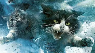 Задник до фільму "Catnado" #1786316
