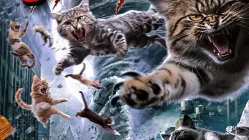 Задник до фільму "Catnado" #1786317