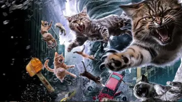Задник до фільму "Catnado" #1786318