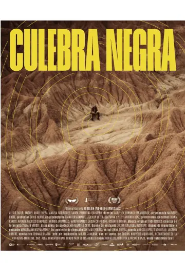 Постер до фильму"La Couleuvre noire" #768598