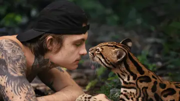 Задник до фільму "Wildcat" #1640845