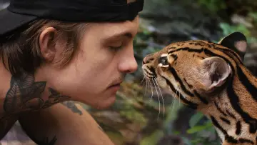 Задник до фільму "Wildcat" #1640846