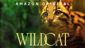 Задник до фільму "Wildcat" #1640854
