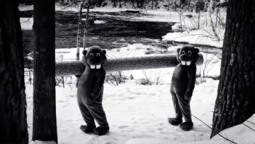 Задник до фільму "Hundreds of Beavers" #403288